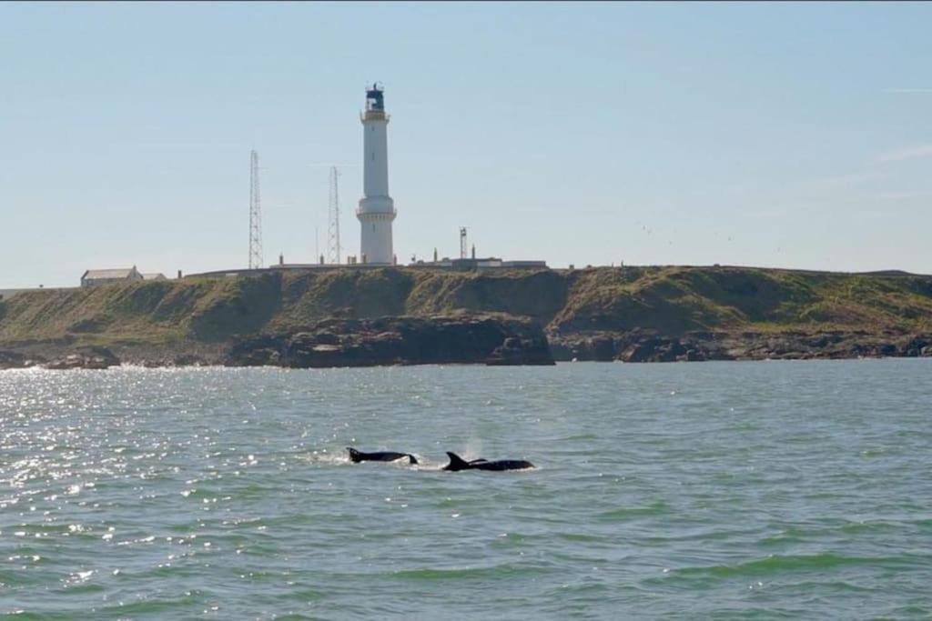 Lighthouse With Hottub Holiday home Aberdeen