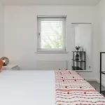 Executive Apartment, Free Parking, West End