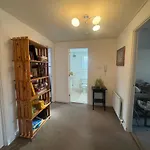Wonderful Flat And Roommate