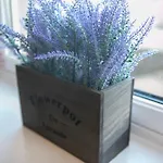Bohemian Raphsody Apartment ✪ Grampian Lettings Ltd