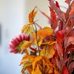 Crimon Place Townhouse - Grampian Lettings Ltd