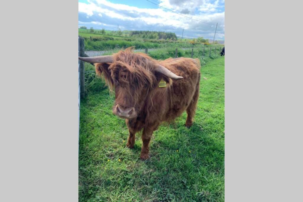 Spacious 2 Bedroom In Aberdeen