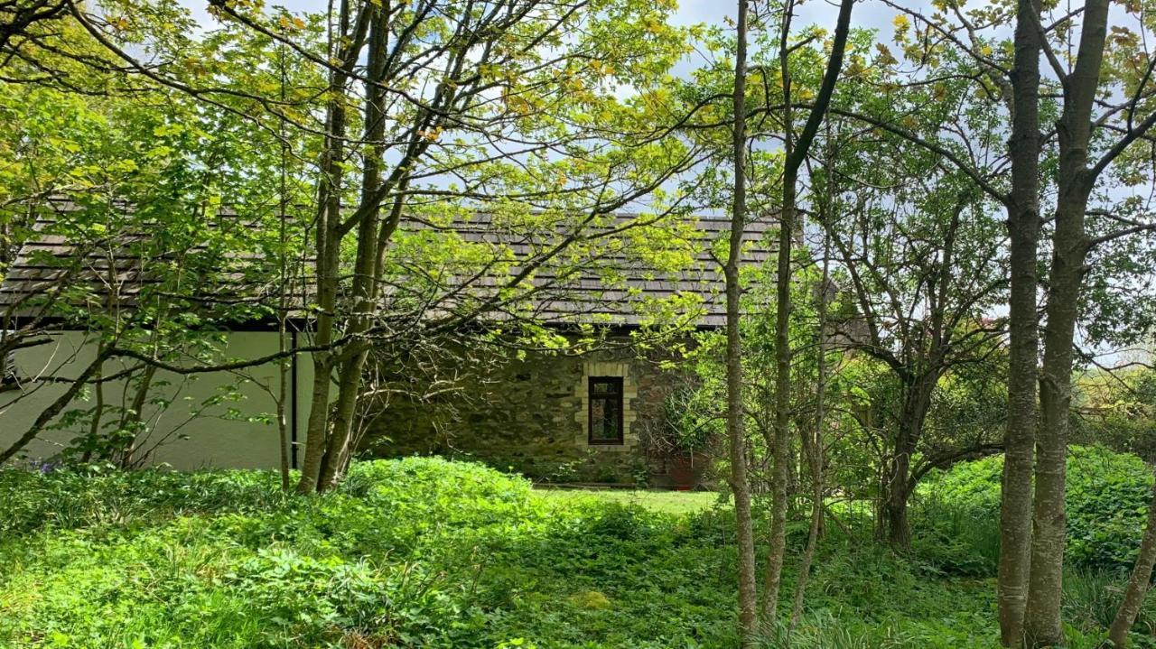 Gallery Apartment