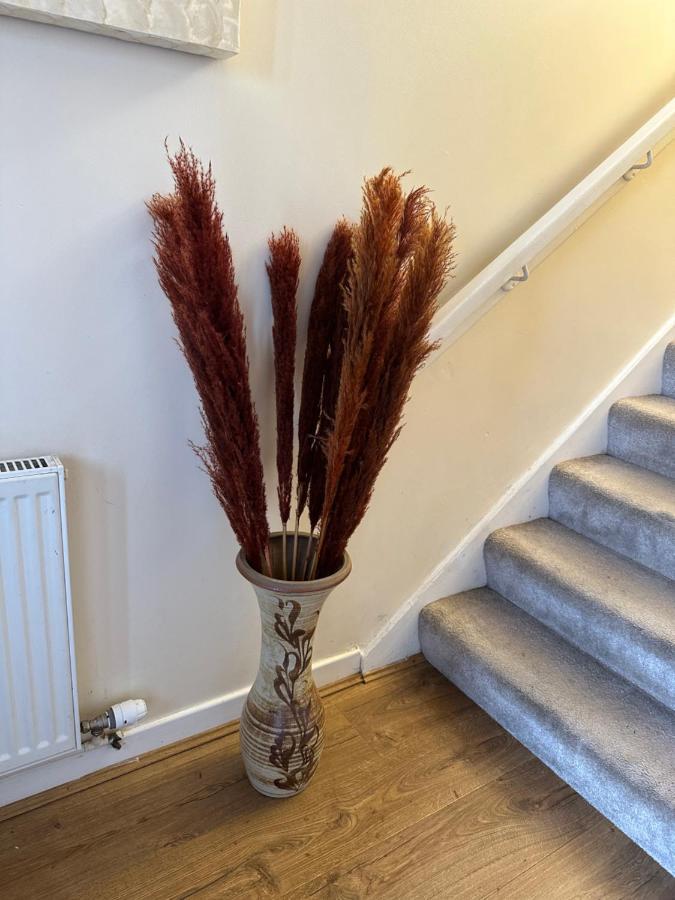 Stunning Cozy Three Bedroom House Near Ari