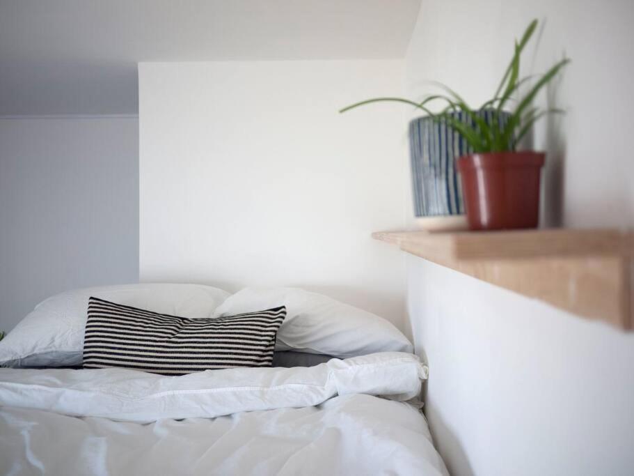 Contemporary 2 Minutes From Station Apartment Aberdeen