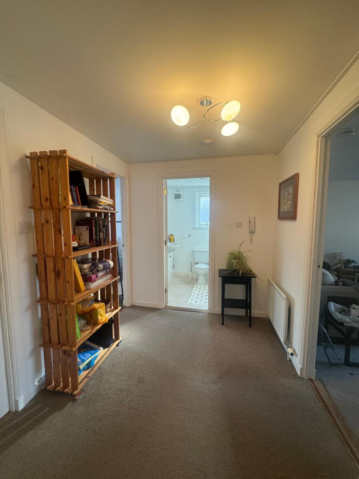 Wonderful Flat And Roommate *