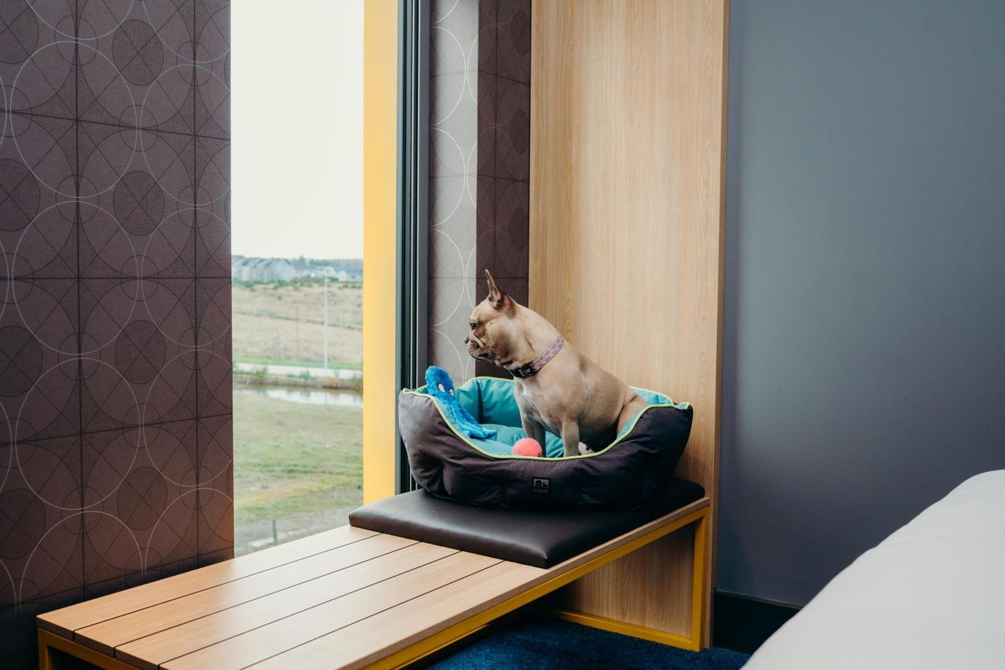 Aloft Teca Hotel