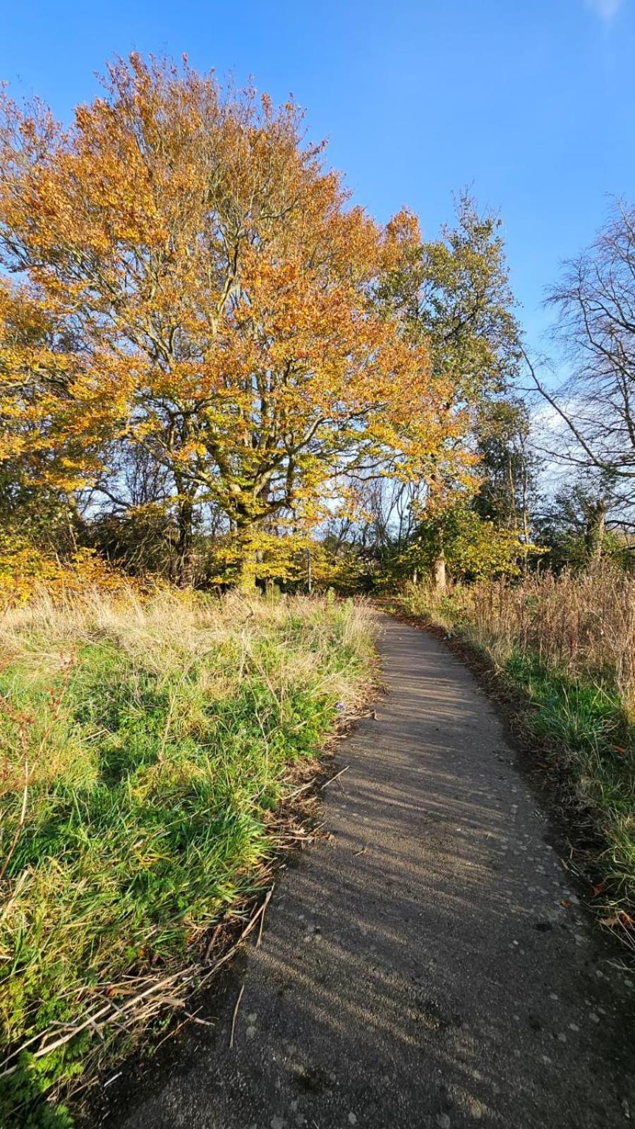 Cozy 2 Bedroom House Next To Nature Reserve,ab22, Wifi, Free Parking, Netflix, Pet - Friendly Holiday home *