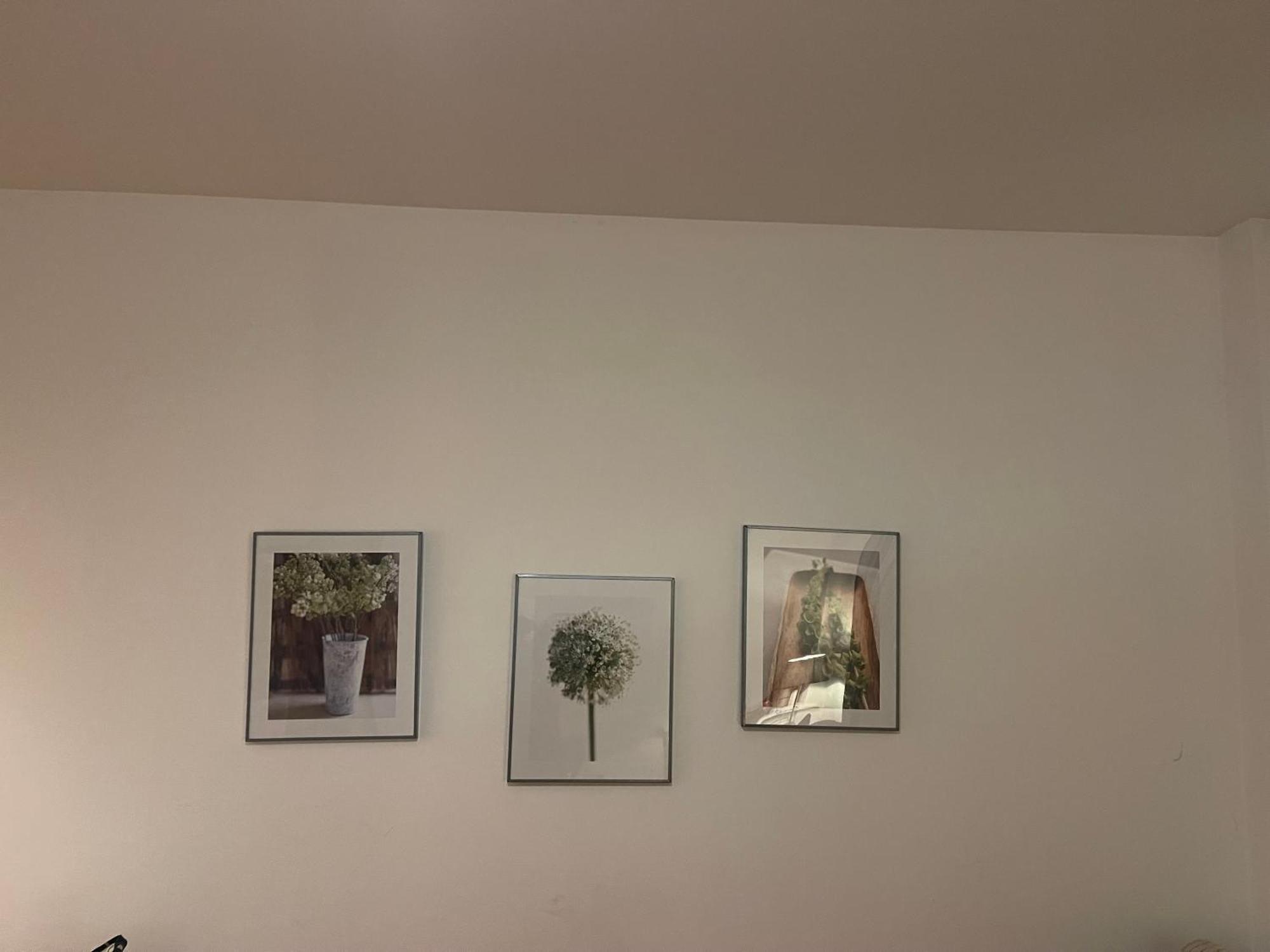 Comfy 1 Bed Workers Aberdeen