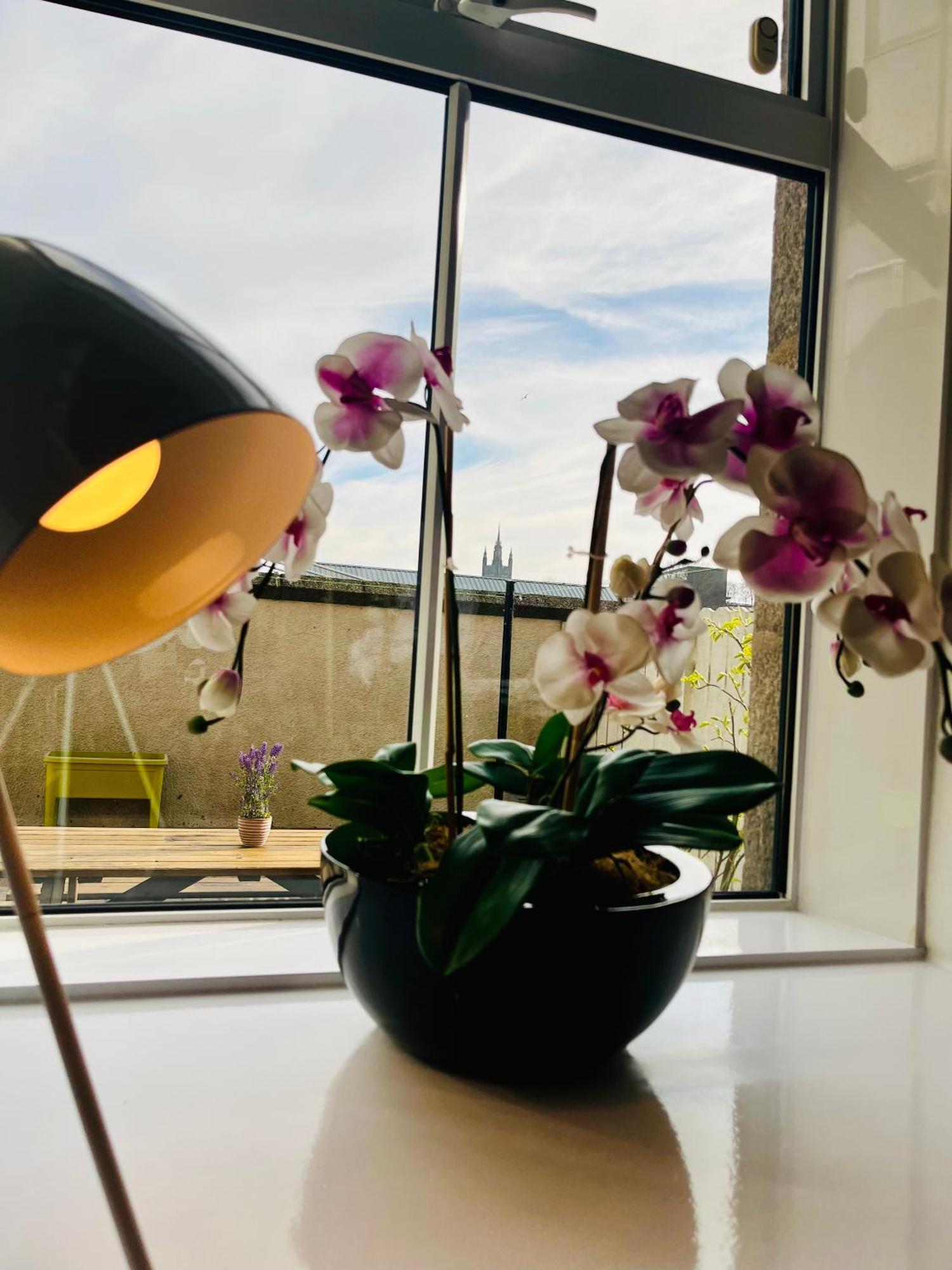 Central, Dog Friendly Apartment Aberdeen