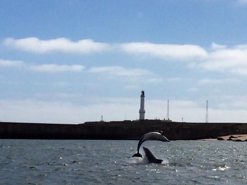 Holiday home Lighthouse - Coastal, Dolphins