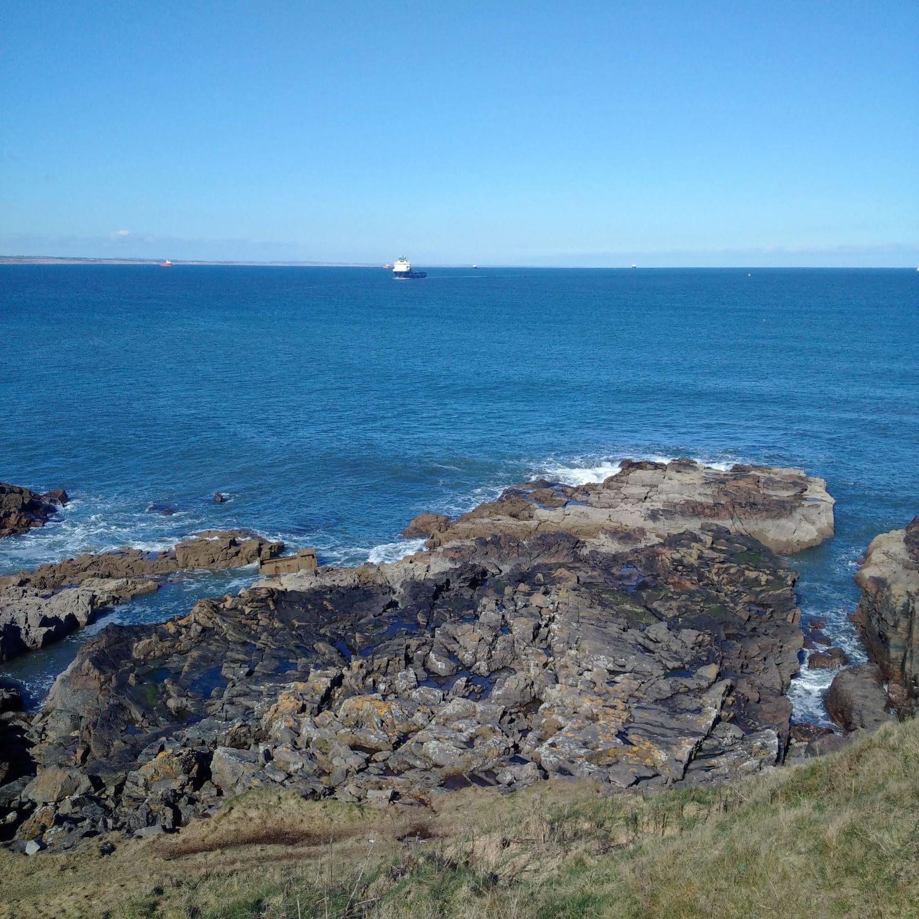 Lighthouse - Coastal, Dolphins