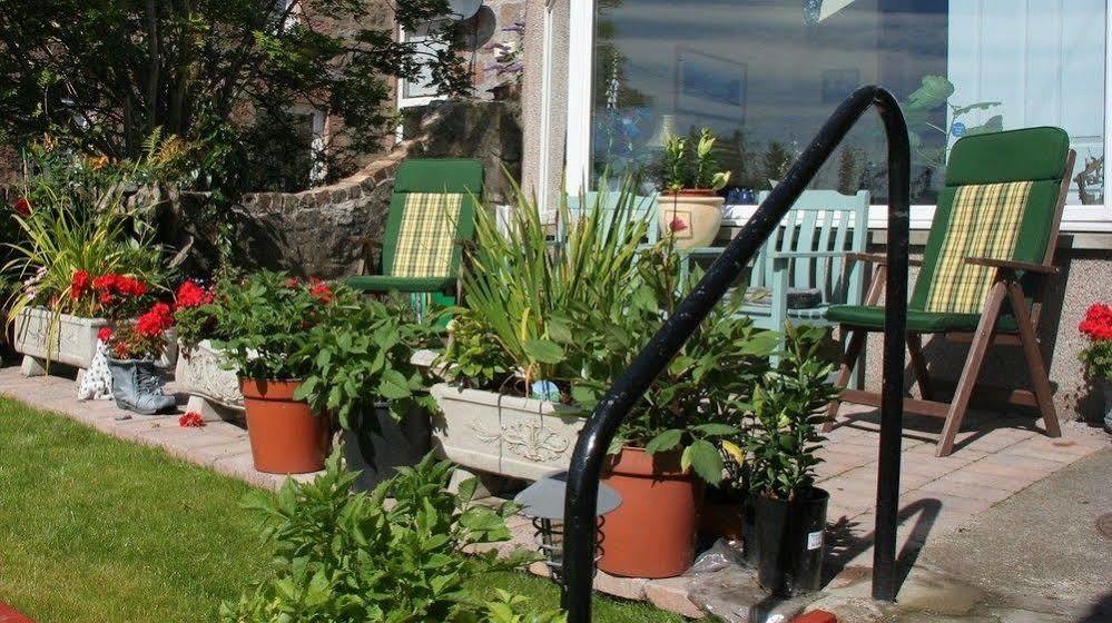 Aurora Guest house 4*