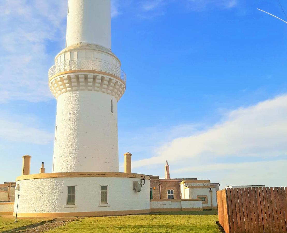 Lighthouse - Coastal, Dolphins