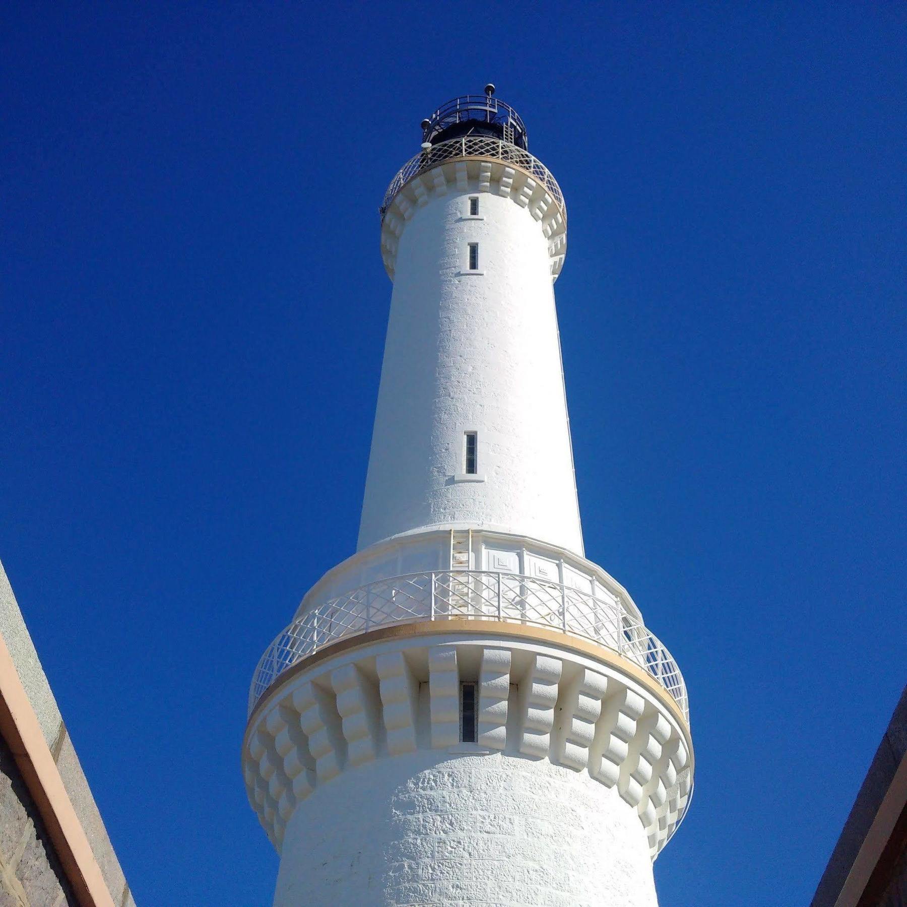 Lighthouse - Coastal, Dolphins Aberdeen